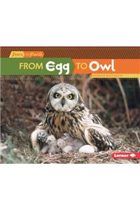 From Egg to Owl