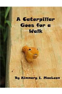 Caterpillar Goes for A Walk