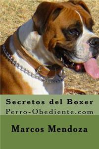 Secretos del Boxer