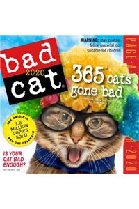 Bad Cat Page-A-Day Calendar 2020