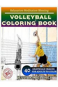 Volleyball Coloring Book for Adults Relaxation Meditation Blessing: Sketches Coloring Book 40 Grayscale Images