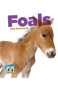 Foals