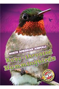 Ruby-Throated Hummingbirds