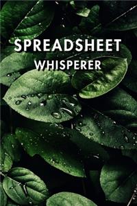 Spreadsheet Whisperer