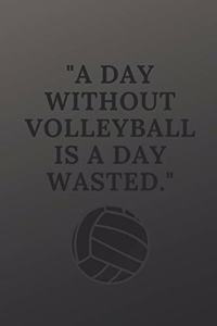 A day without volleyball is a day wasted
