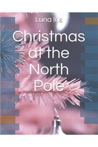 Christmas at the North Pole