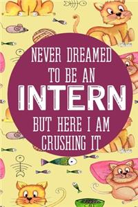 Never Dreamed To Be an Intern But Here I Am Crushing It