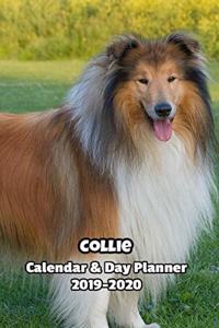 Collie Calendar & Day Planner 2019-2020