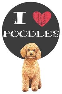 I Heart Poodles