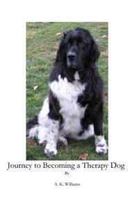 Journey To Becoming a Therapy Dog