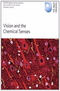 VISION & THE CHEMICAL SENSES