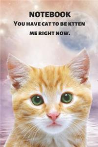 Notebook You Have Cat to Be Kitten Me Right Now