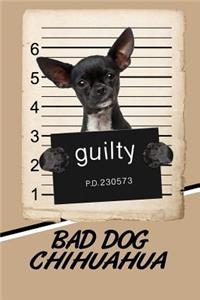 Bad Dog Chihuahua