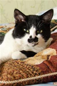 Adorable Black and White Cat Lounging on a Pillow Journal