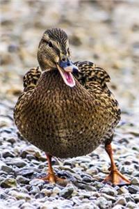 The Laughing Duck Journal