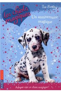 Un Anniversaire Magique