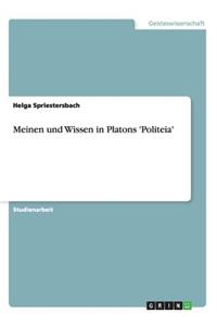 Meinen und Wissen in Platons 'Politeia'