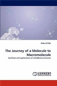 Journey of a Molecule to Macromolecule