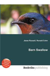 Barn Swallow