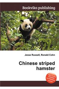 Chinese Striped Hamster