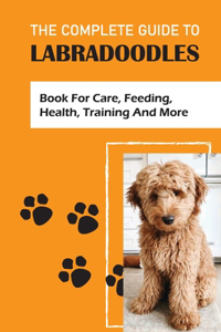 Complete Guide To Labradoodles