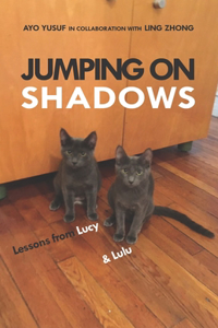 Jumping on Shadows