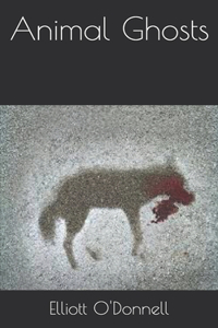 Animal Ghosts