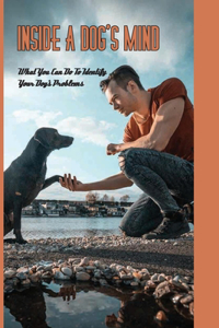 Inside A Dog'S Mind- What You Can Do To Identify Your Dog'S Problems