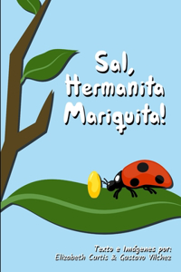 Sal, Hermanita Mariquita!