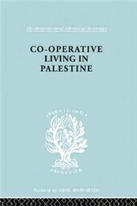 Coop Living Palestine Ils 106