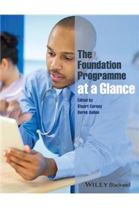 The Foundation Programme at a Glance