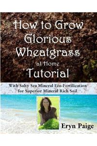 How to Grow Glorious Wheatgrass at Home Tutorial