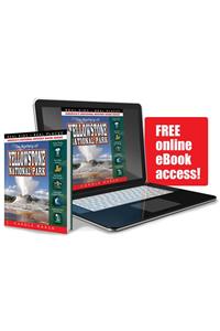 The Mystery at Yellowstone National Park