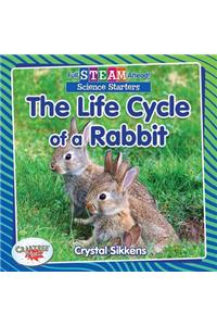 Life Cycle of a Rabbit