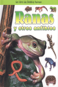 Ranas Y Otros Anfibios (Frogs and Other Amphibians)