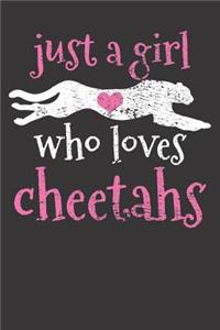 Cheetah Gift Notebook