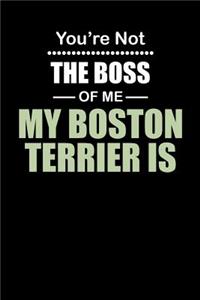 You're not the Boss of Me My Boston Terrier Is