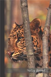 Hunting Leopard