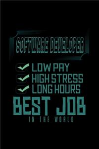 Software developer