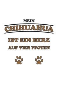 Mein Chihuahua ist ein Herz auf vier Pfoten