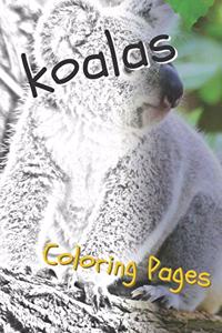 Koala Coloring Pages
