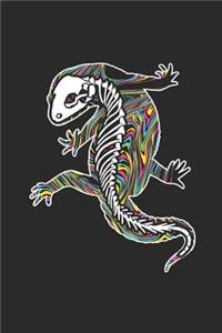 Gecko Skeleton