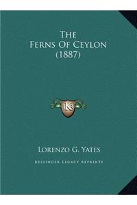 The Ferns Of Ceylon (1887)