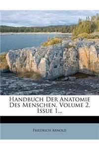 Handbuch der Anatomie des Menschen.
