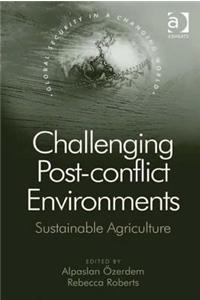 Challenging Post-Conflict Environments