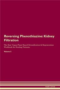 Reversing Phenothiazine: Kidney Filtration The Raw Vegan Plant-Based Detoxification & Regeneration Workbook for Healing Patients.Volume 5