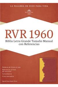 Biblia Letra Grande Tamano Manual Con Referencias-Rvr 1960