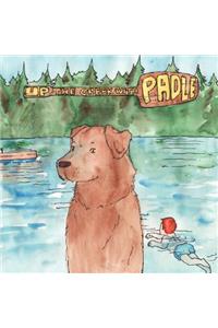 Up the Creek with Padle