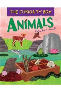 The Curiosity Box: Animals
