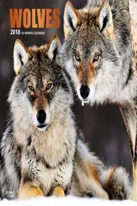 2018 Wolves Wall Calendar